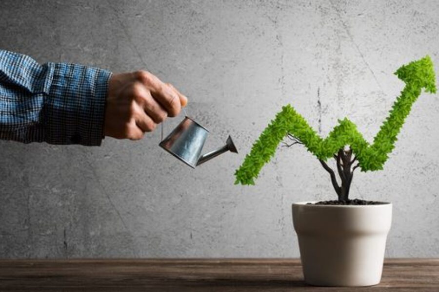 How has your business journey influenced your leadership development?